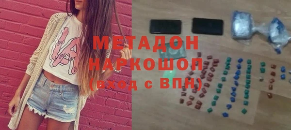 индика Дмитриев
