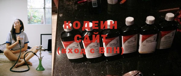 индика Дмитриев