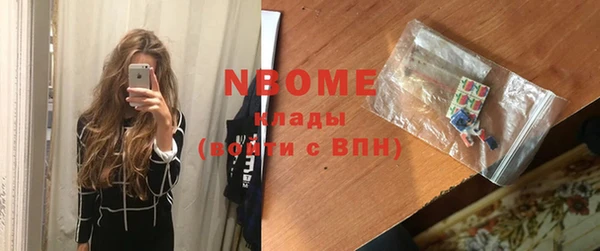 индика Дмитриев