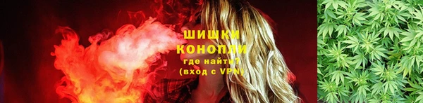 ГАЛЛЮЦИНОГЕННЫЕ ГРИБЫ Тихвин