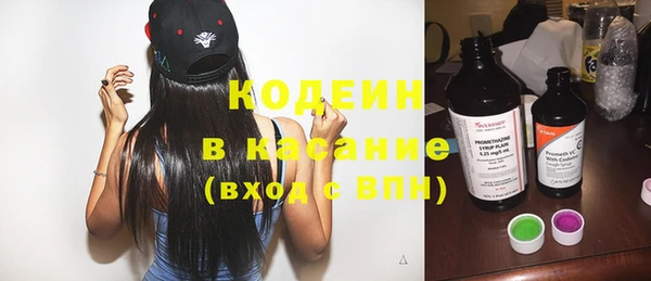 шишки Дмитров