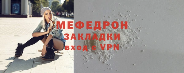 индика Дмитриев