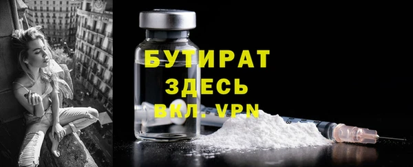 индика Дмитриев