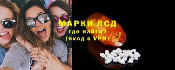 шишки Дмитров