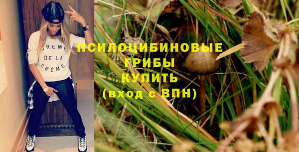 индика Дмитриев