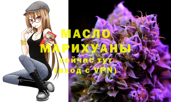 индика Дмитриев