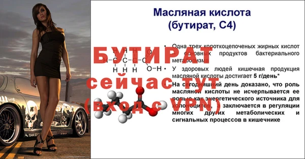 шишки Дмитров