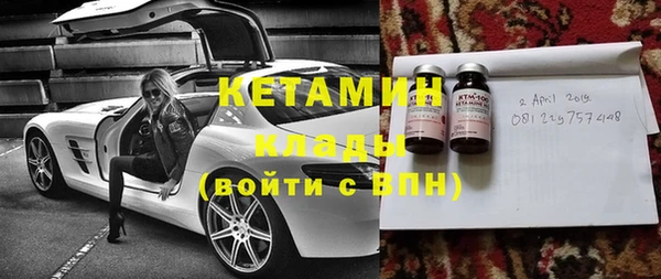 индика Дмитриев