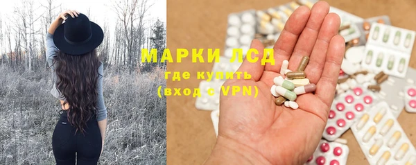 индика Дмитриев