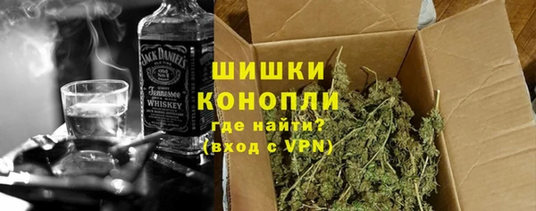 твердый Новозыбков