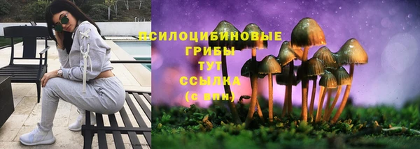 индика Дмитриев