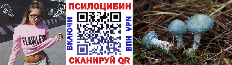 Псилоцибиновые грибы MAGIC MUSHROOMS  Приморск 